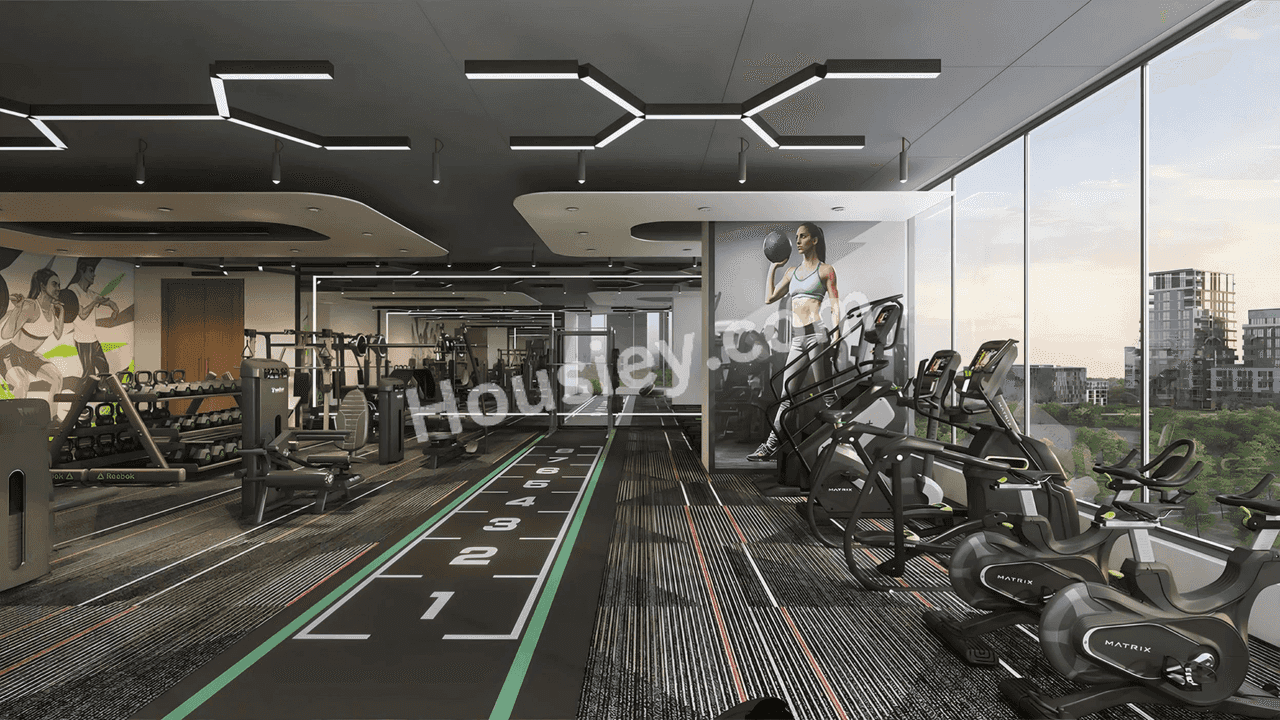 Project image 13