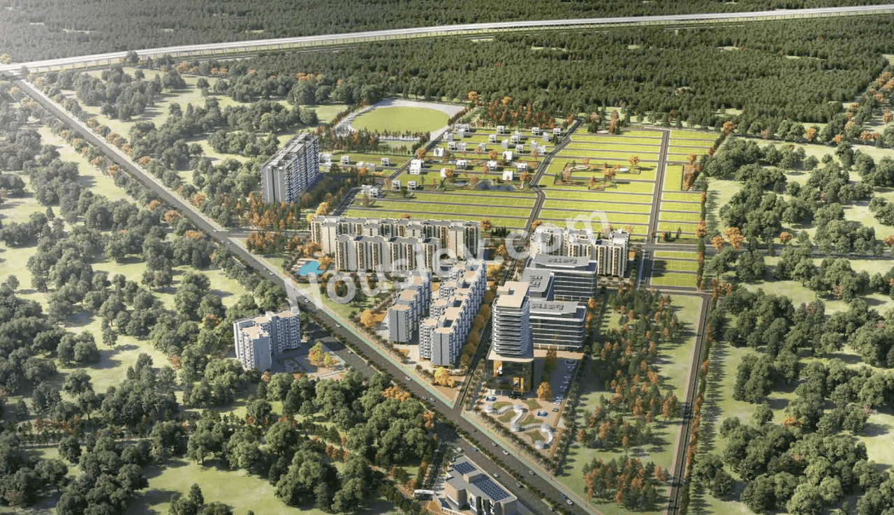 Project image 2