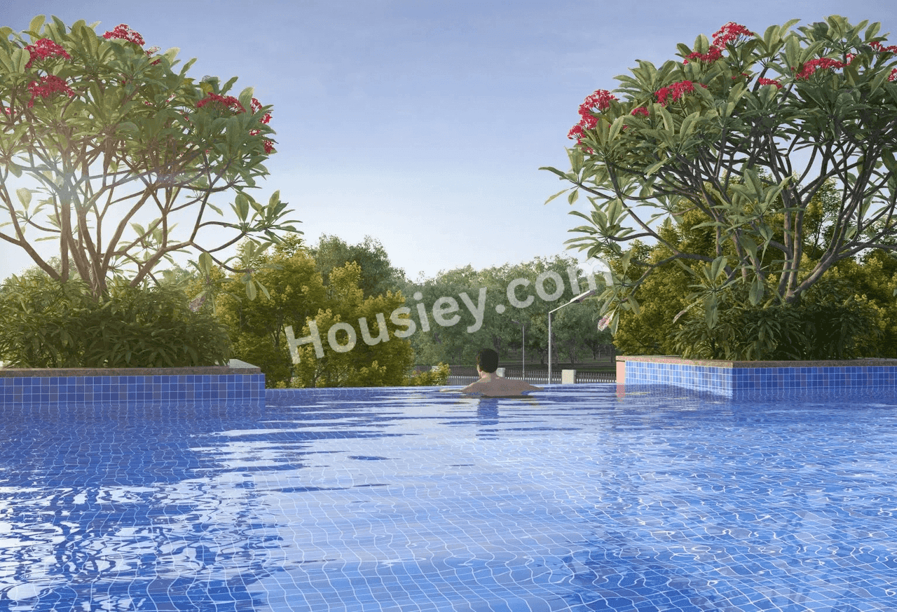Project image 15