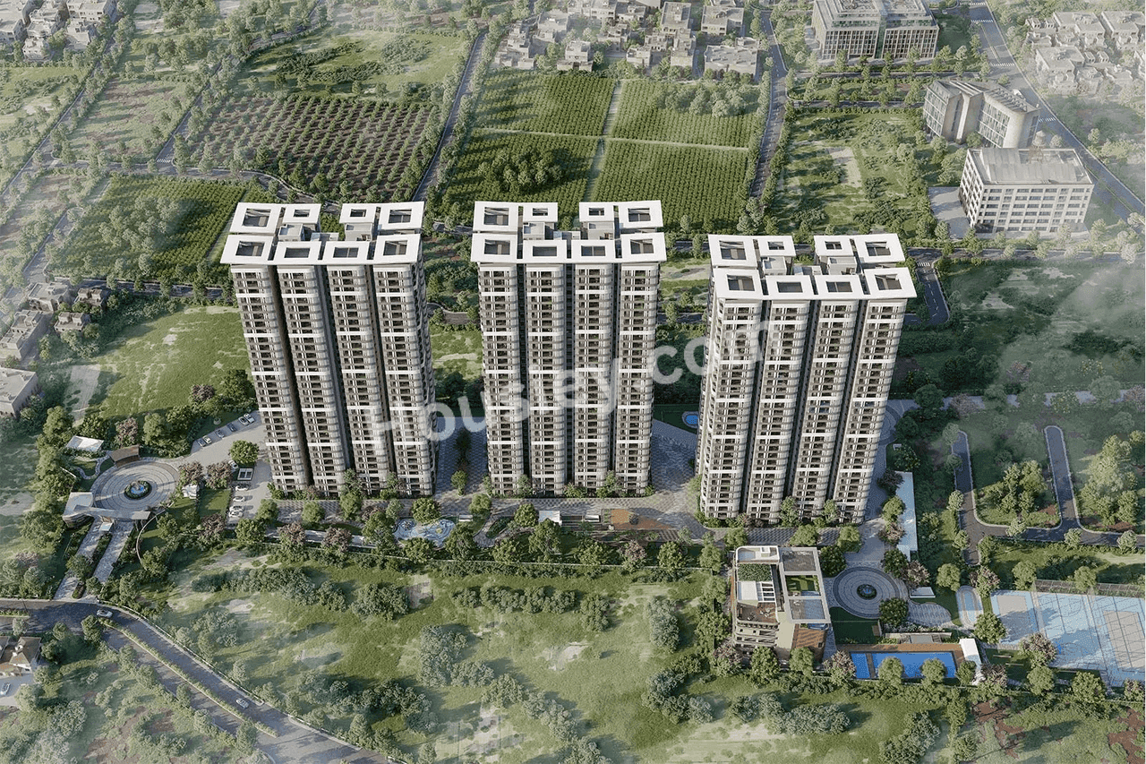 Project image 4