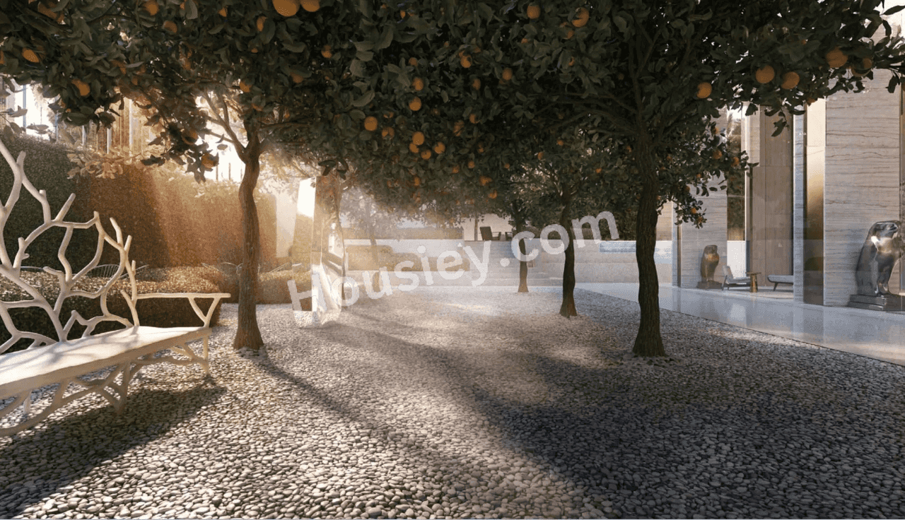 Project image 11