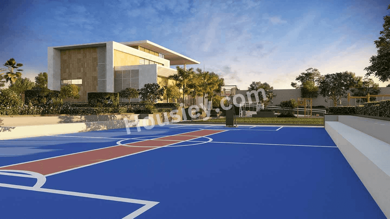 Project image 13