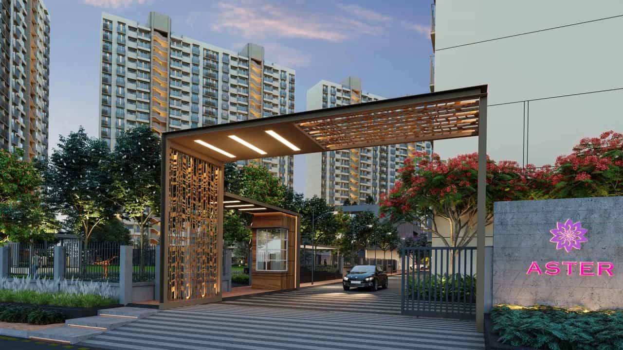 Project image 9