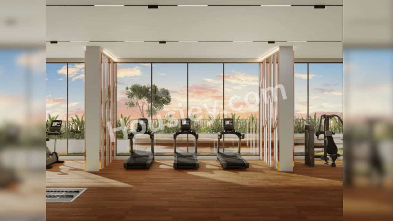 Project image 11