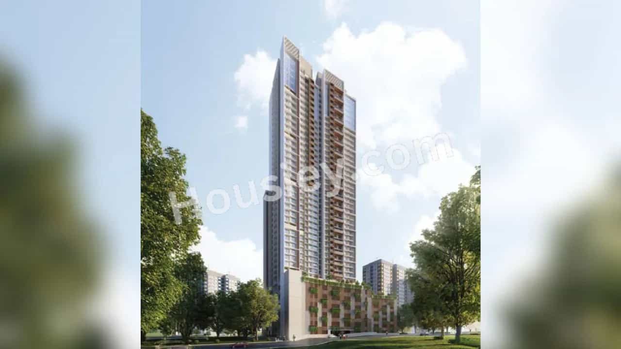 Project image 1