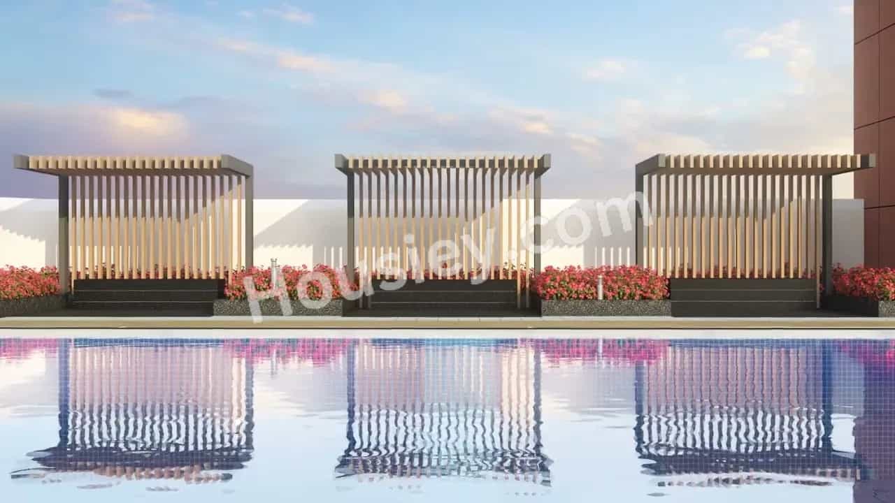 Project image 6