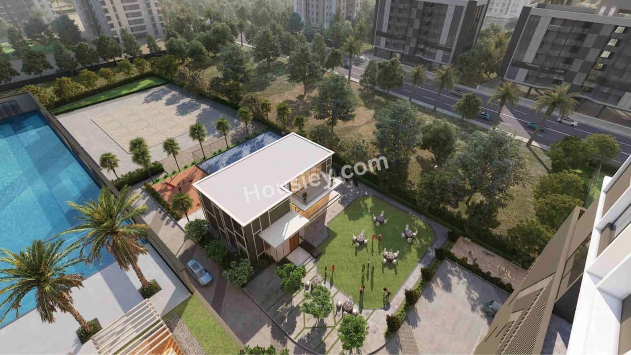 Project image 6