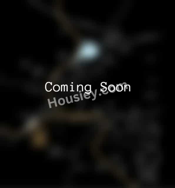 Project image 4