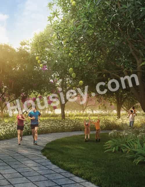 Project image 2
