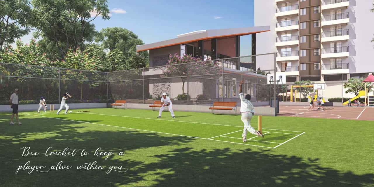 Project image 6