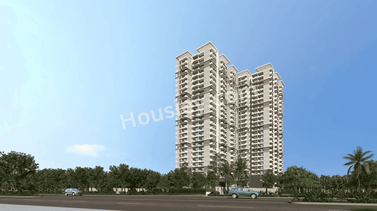 Project image 11