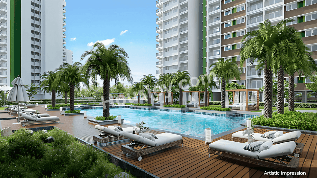 Project image 13