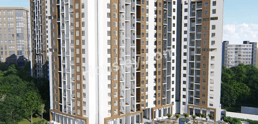 Project image 7