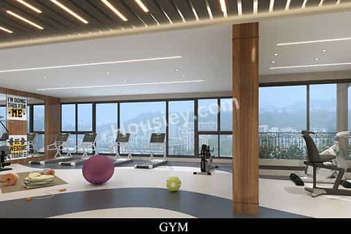 Project image 6