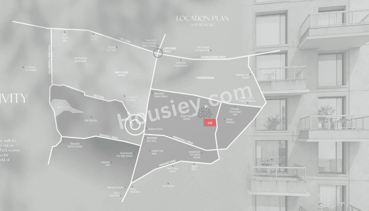 Project image 14