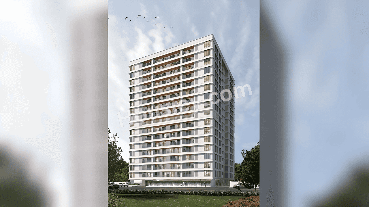 Project image 1