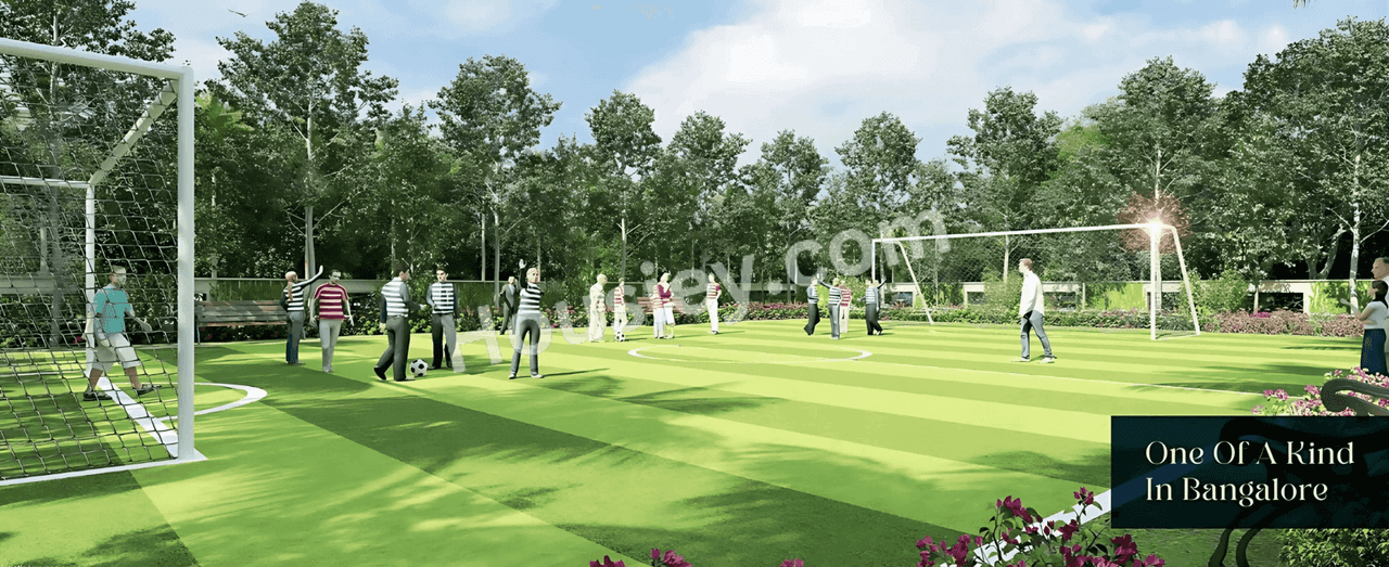 Project image 10