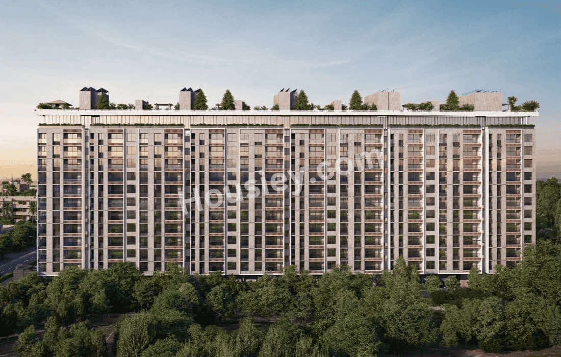 Project image 1