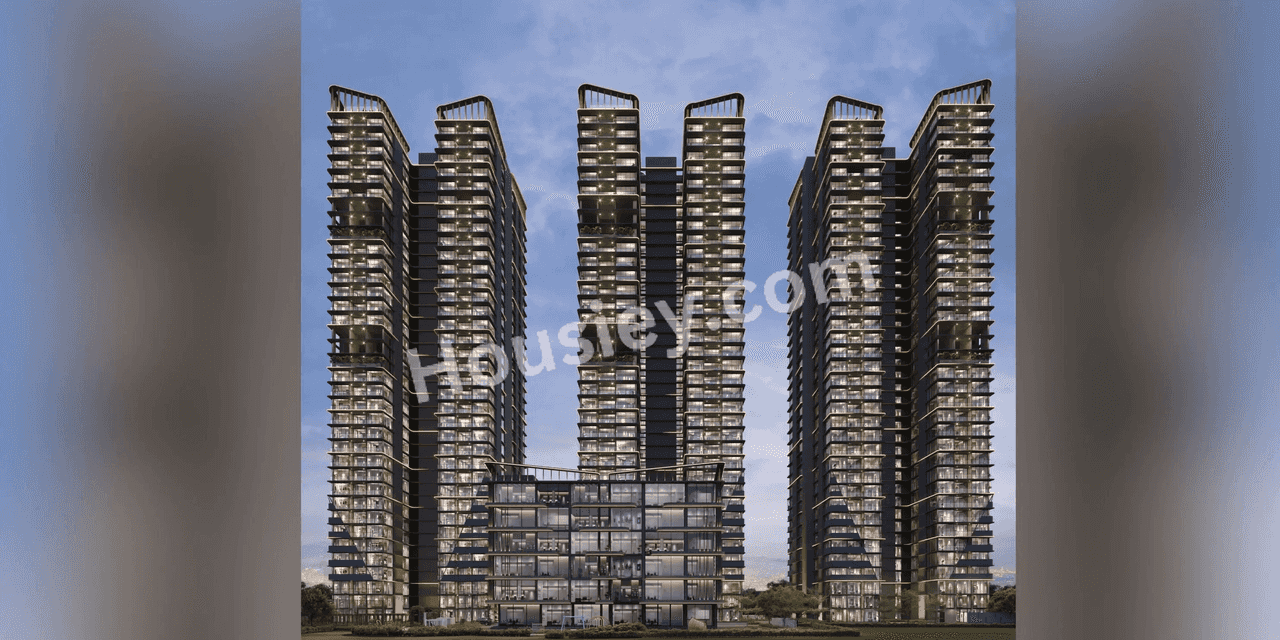 Project image 13