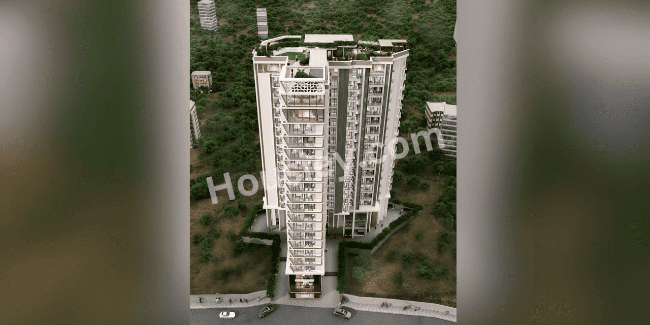 Project image 6
