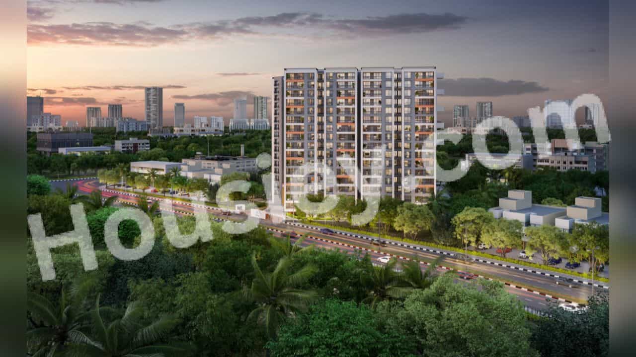 Project image 15