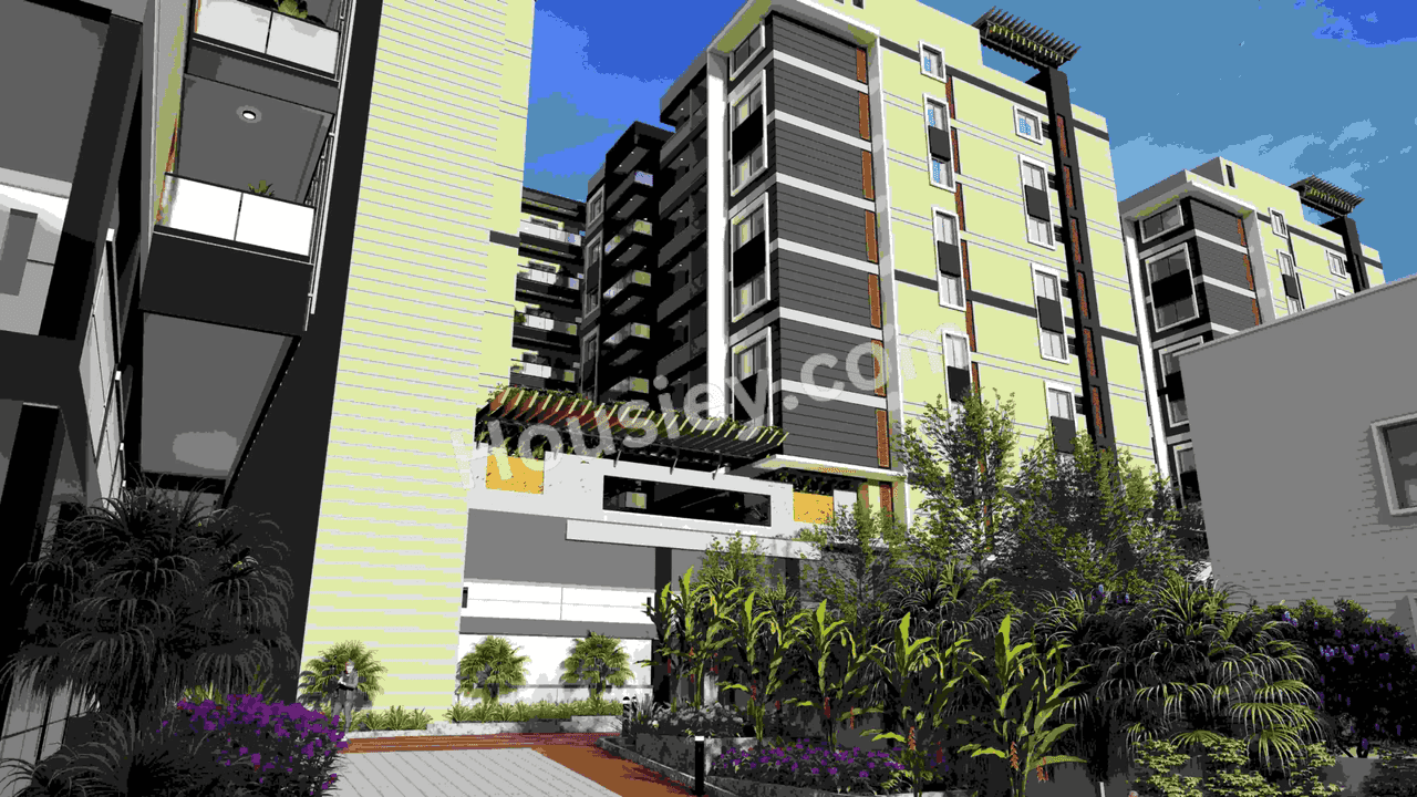 Project image 6