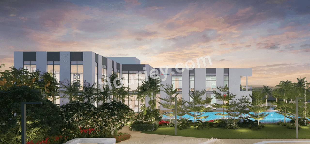 Project image 9