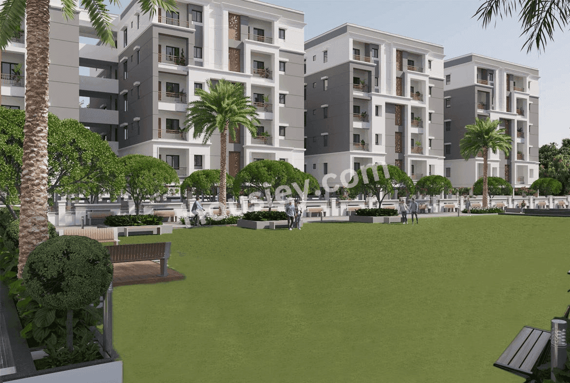 Project image 5