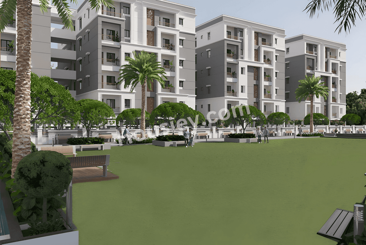 Project image 6