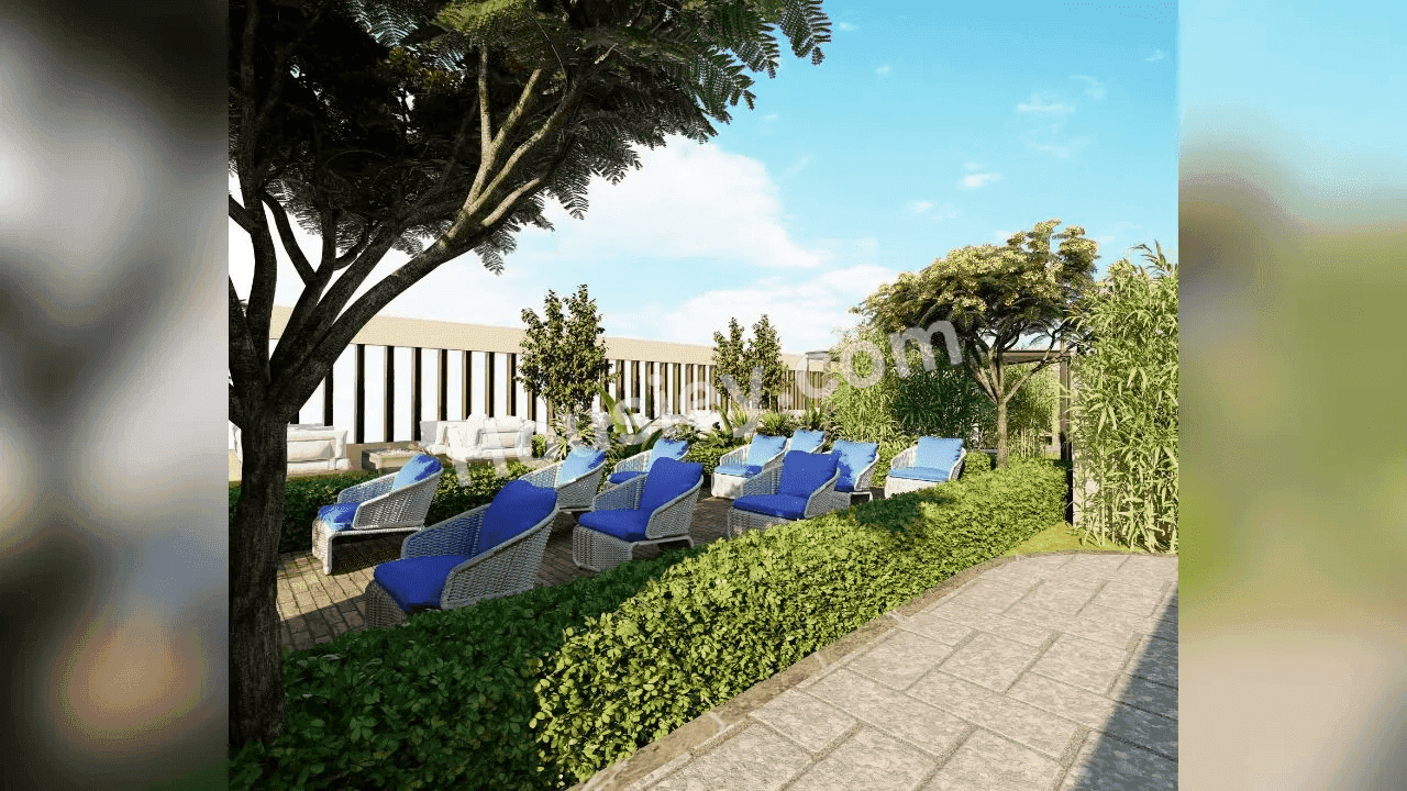 Project image 5