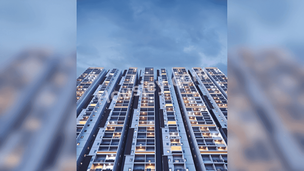 Project image 11