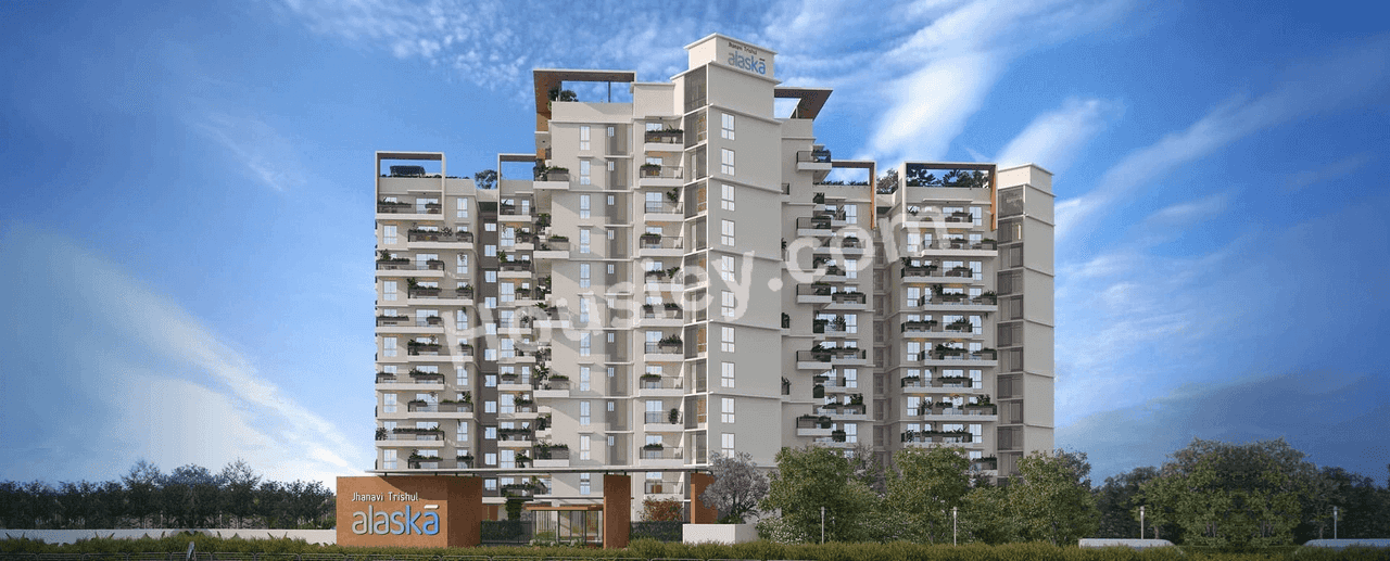 Project image 1