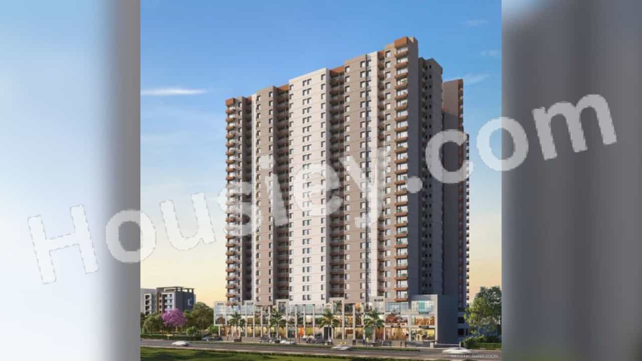 Project image 6
