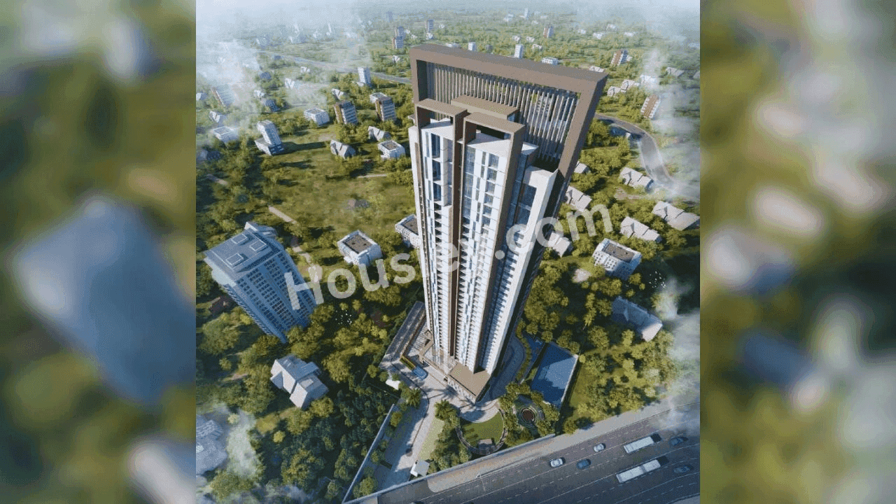 Project image 4
