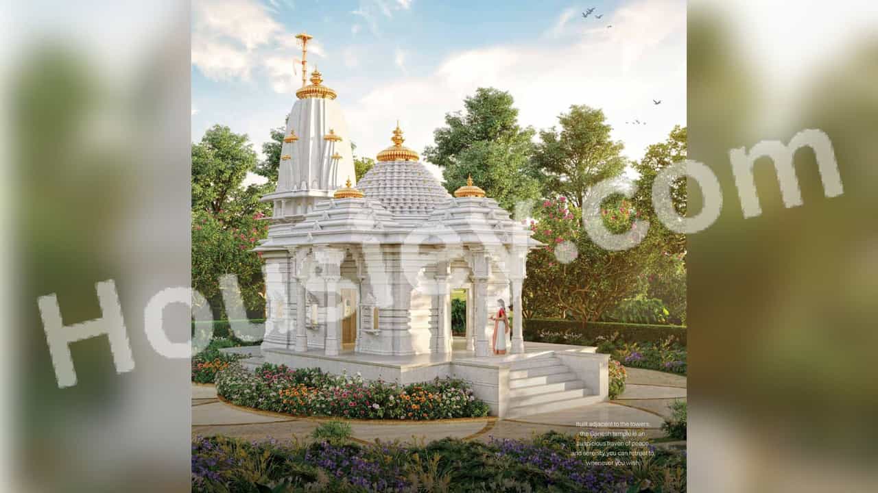 Project image 11
