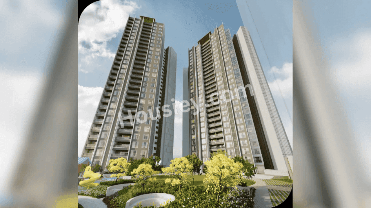 Project image 19