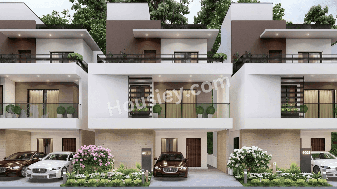 Project image 1