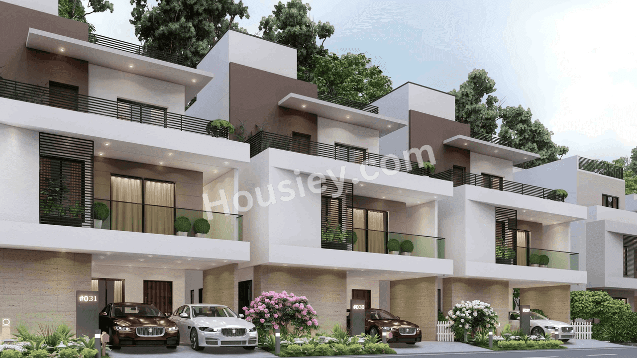 Project image 2