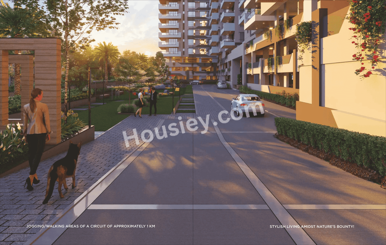 Project image 16