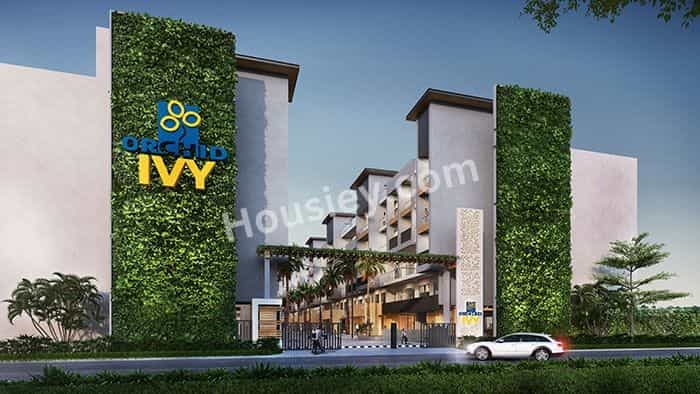Project image 6