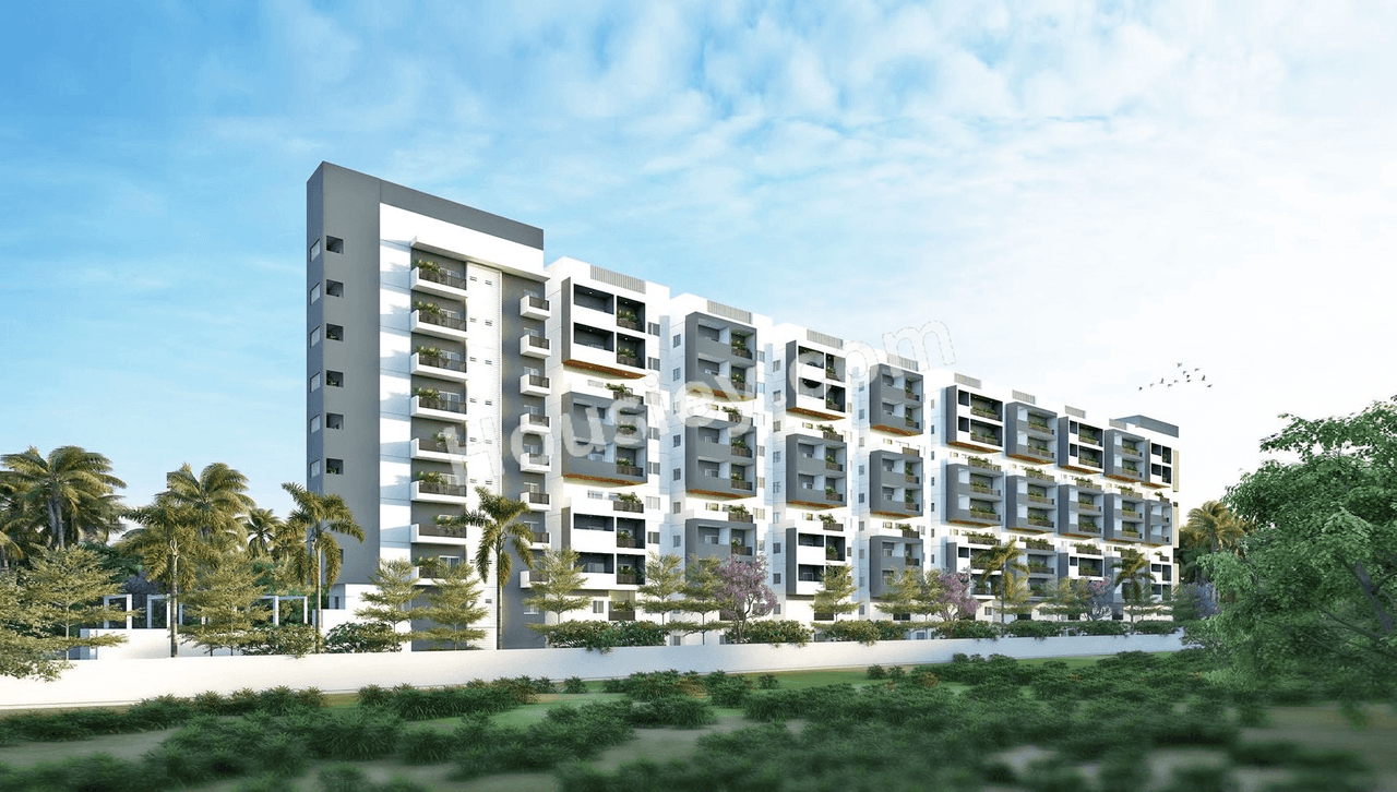 Platinum East Woods
