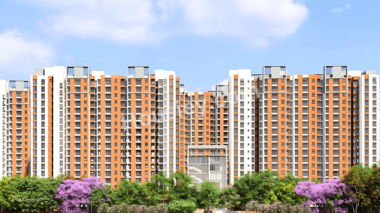 Provident Bayscape