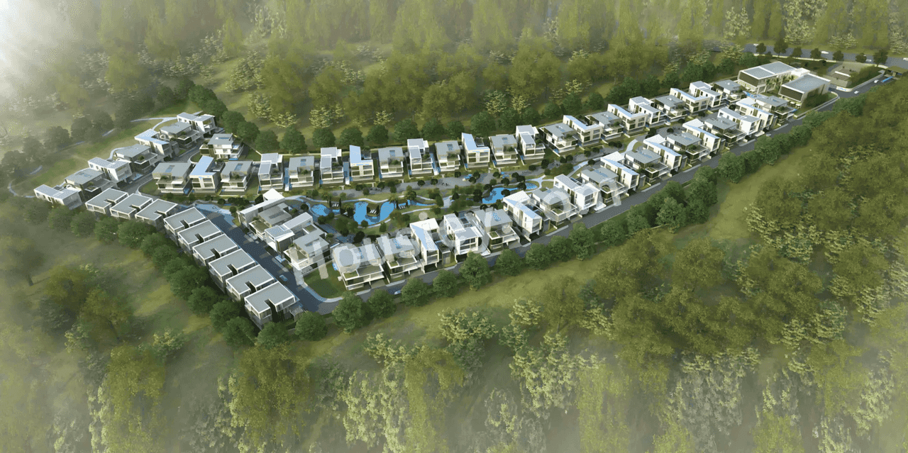 Project image 2