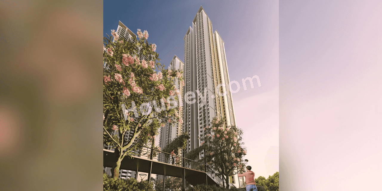 Project image 8