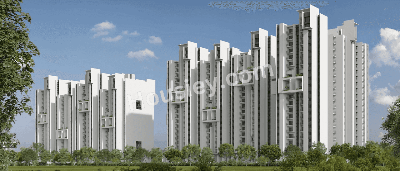 Project image 2
