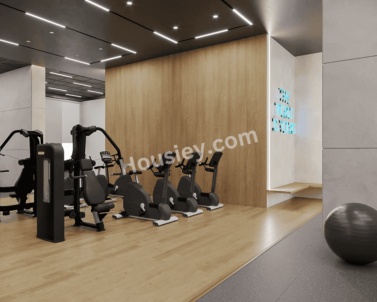 Project image 6