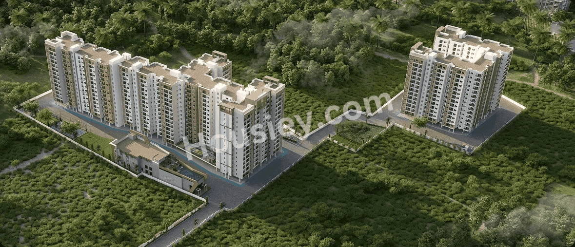 Project image 2