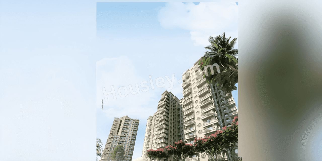 Project image 11