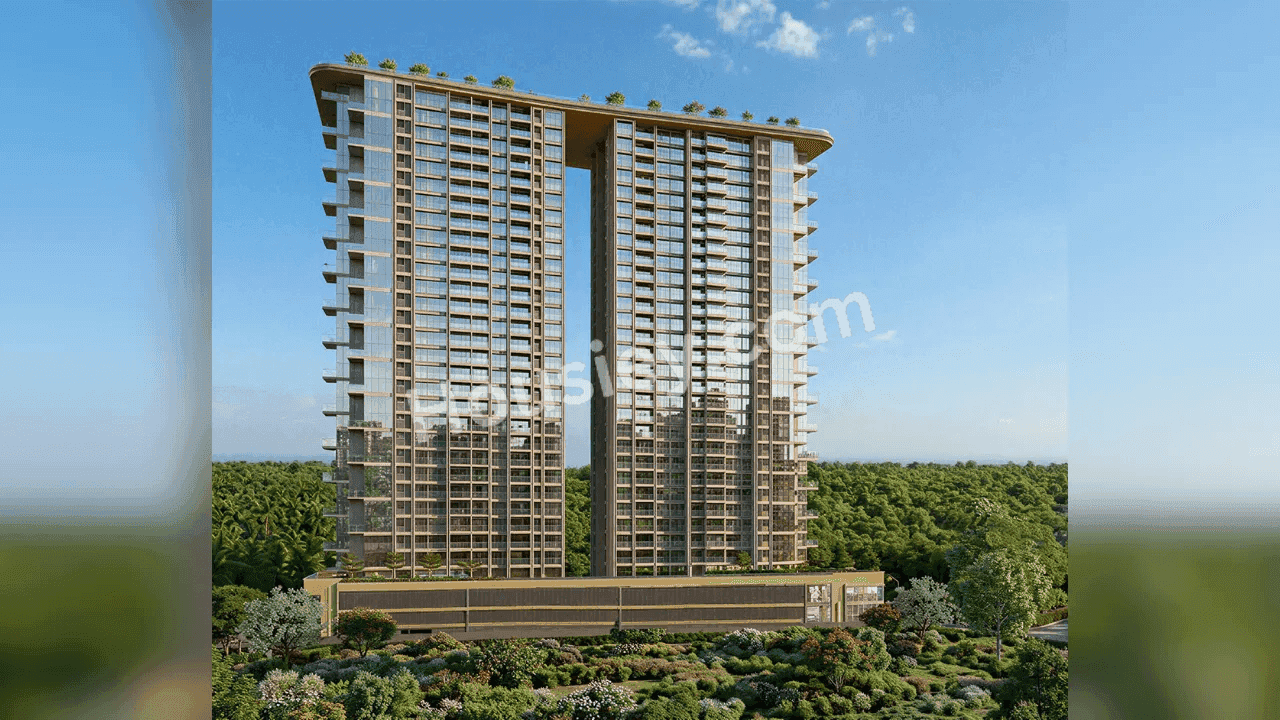 Project image 1