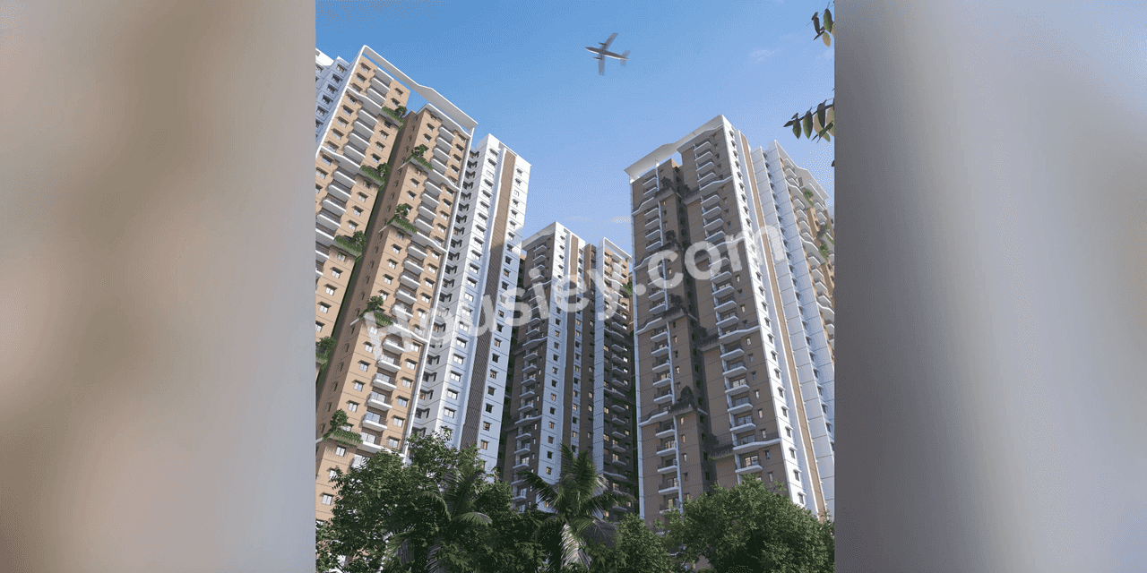Project image 6